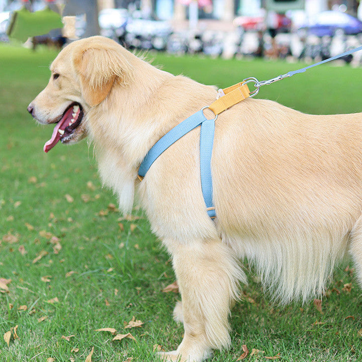 Experience the Ultimate Comfort with Our Color Pet Drawstring Leash Vest-style Dog Leash